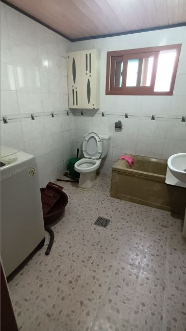 367663a966537.jpg