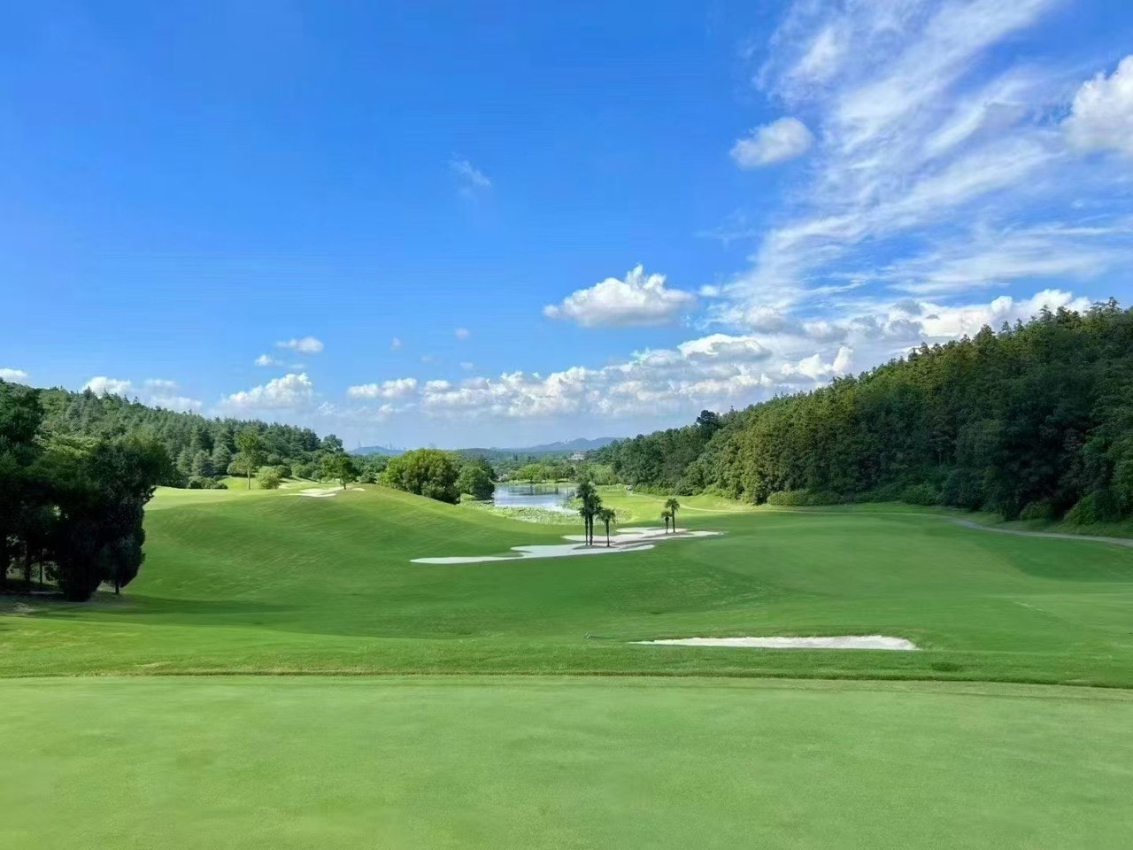 ์ฌ์ฉ์๊ฐ ์ฌ๋ฆฐ ์ด๋ฏธ์ง