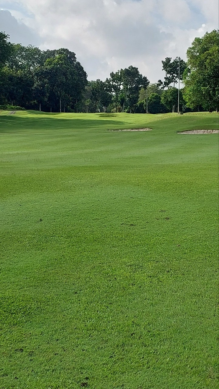 ์ฌ์ฉ์๊ฐ ์ฌ๋ฆฐ ์ด๋ฏธ์ง