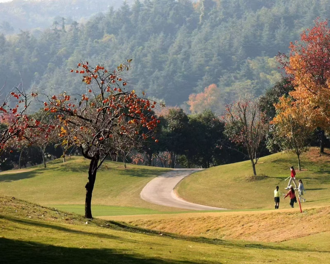 ์ฌ์ฉ์๊ฐ ์ฌ๋ฆฐ ์ด๋ฏธ์ง