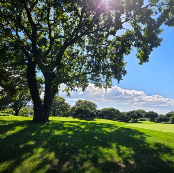 ⛳ 26년 10월 얼리버드 제주골프 BEST 2박 3일