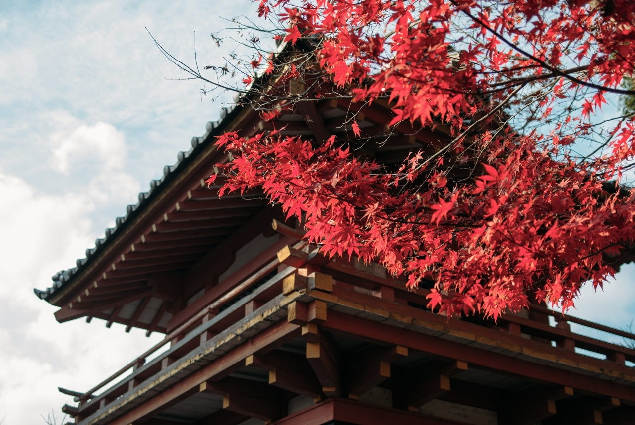 ์ฌ์ฉ์๊ฐ ์ฌ๋ฆฐ ์ด๋ฏธ์ง