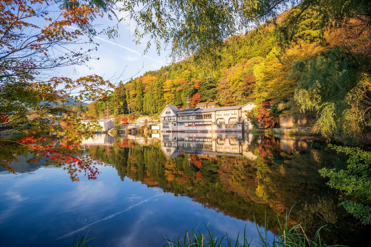 ์ฌ์ฉ์๊ฐ ์ฌ๋ฆฐ ์ด๋ฏธ์ง