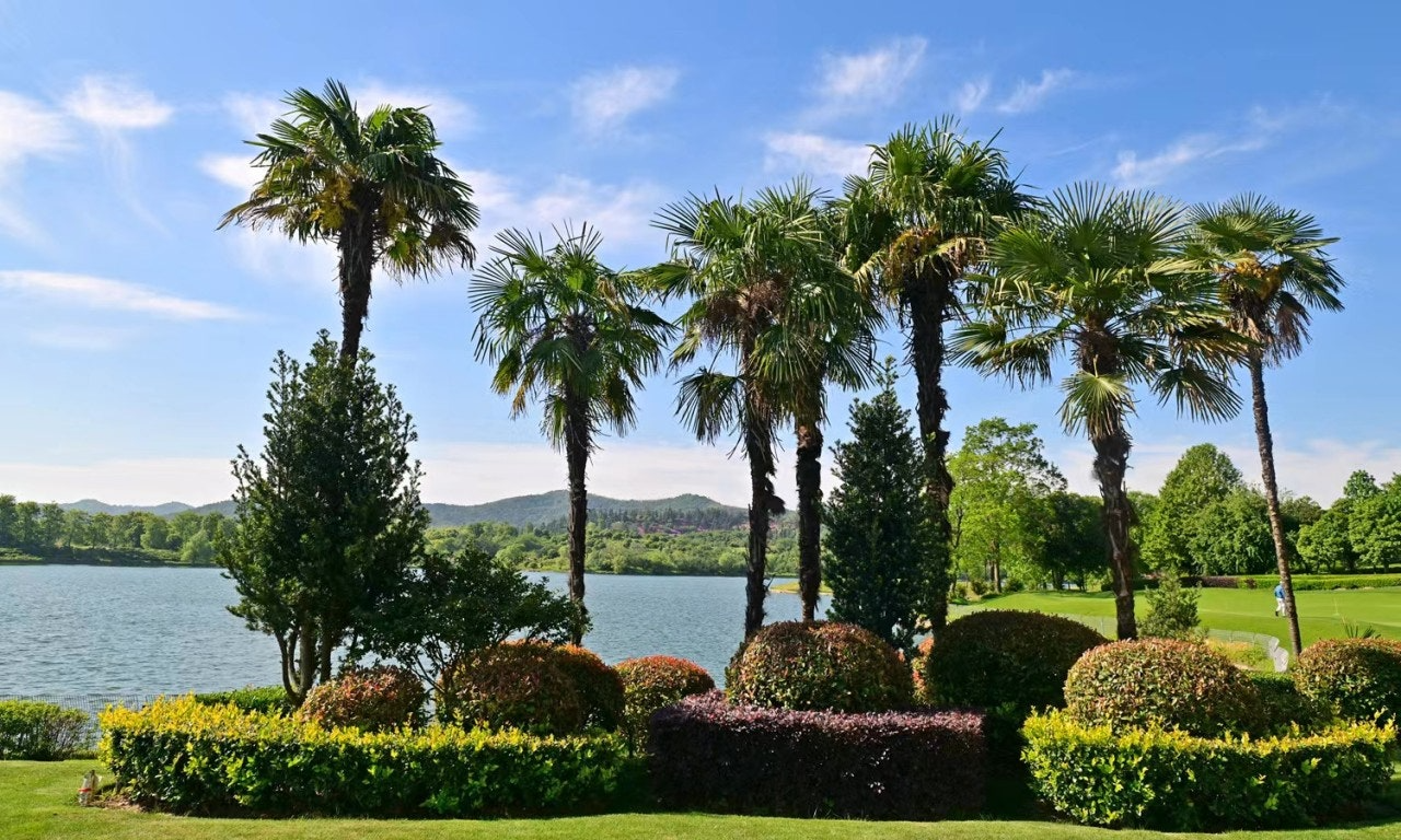 ์ฌ์ฉ์๊ฐ ์ฌ๋ฆฐ ์ด๋ฏธ์ง