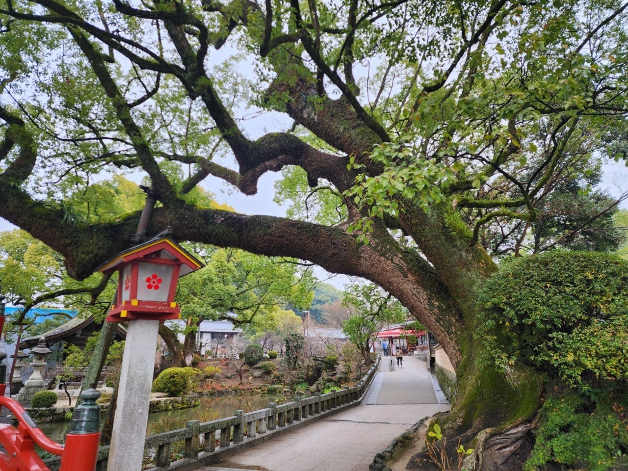 ์ฌ์ฉ์๊ฐ ์ฌ๋ฆฐ ์ด๋ฏธ์ง