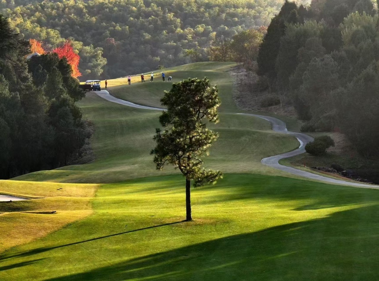 ์ฌ์ฉ์๊ฐ ์ฌ๋ฆฐ ์ด๋ฏธ์ง