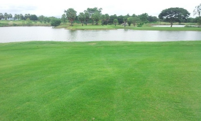 ⛳ 칸차나부리 5색 골프 ⛳