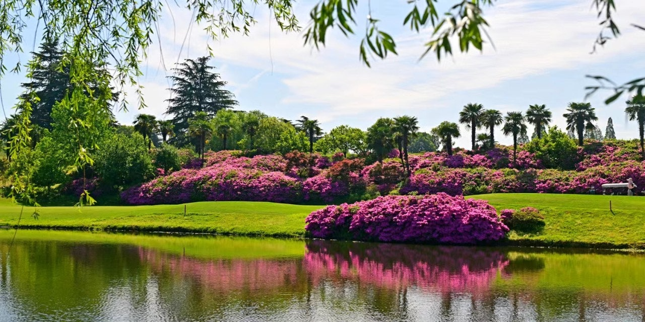 ์ฌ์ฉ์๊ฐ ์ฌ๋ฆฐ ์ด๋ฏธ์ง