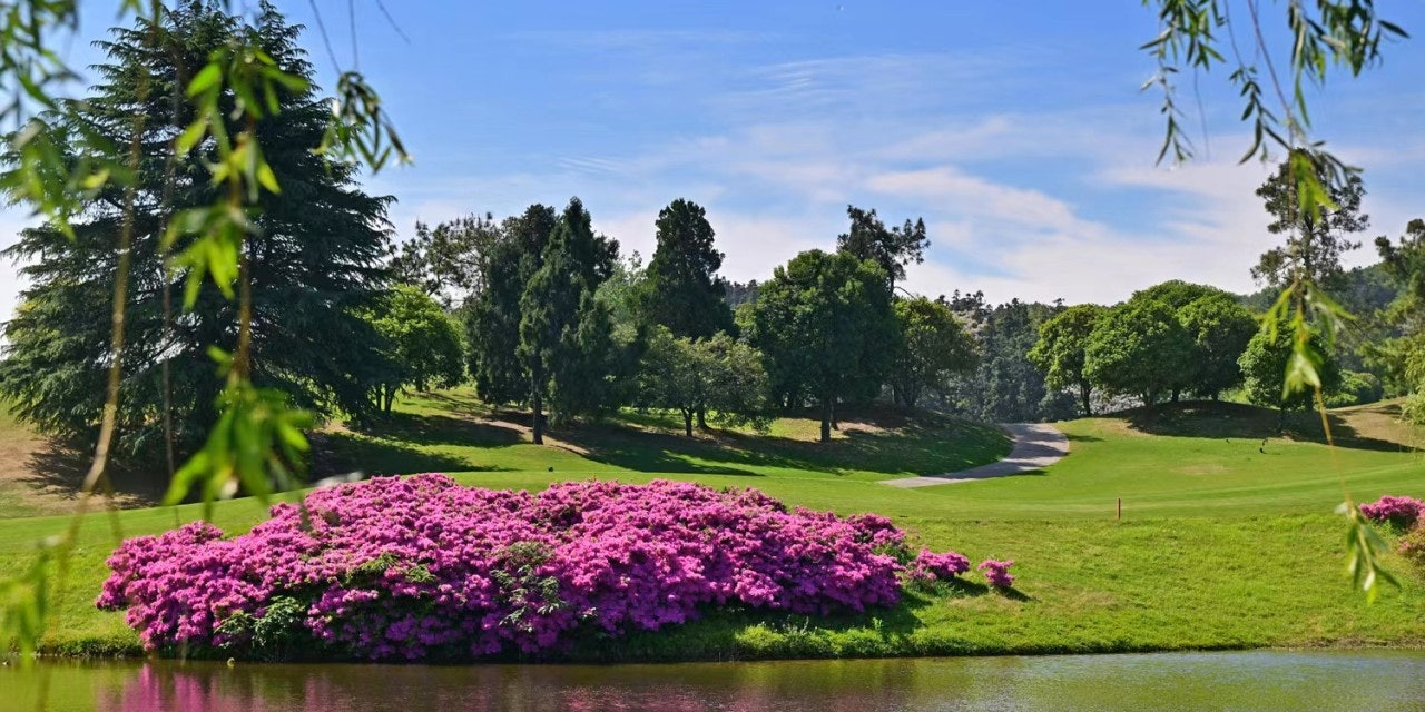 ์ฌ์ฉ์๊ฐ ์ฌ๋ฆฐ ์ด๋ฏธ์ง