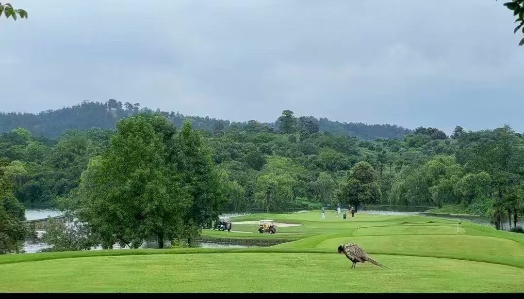 ์ฌ์ฉ์๊ฐ ์ฌ๋ฆฐ ์ด๋ฏธ์ง