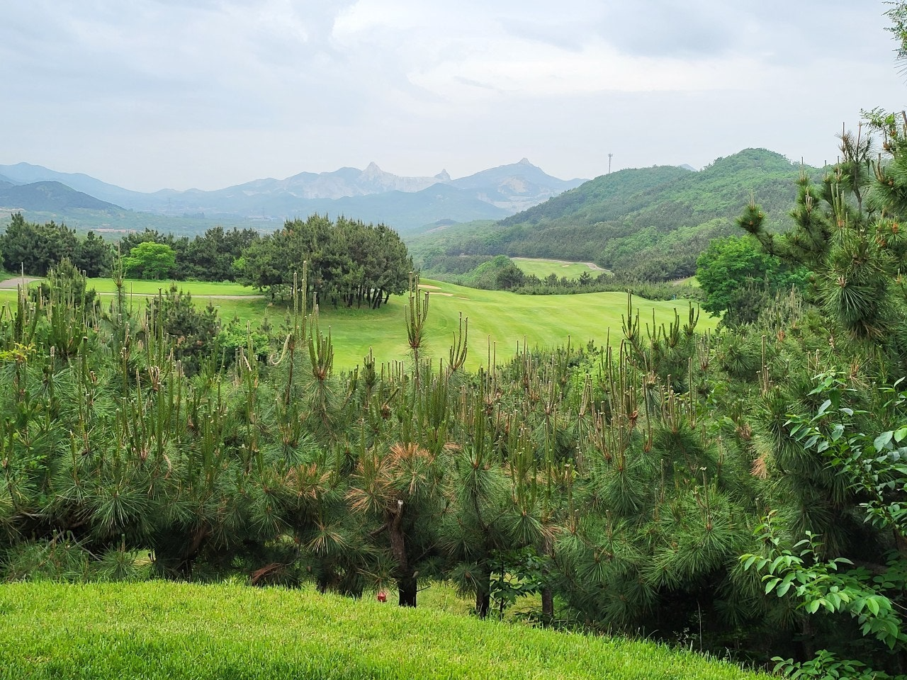 사용자가 올린 이미지