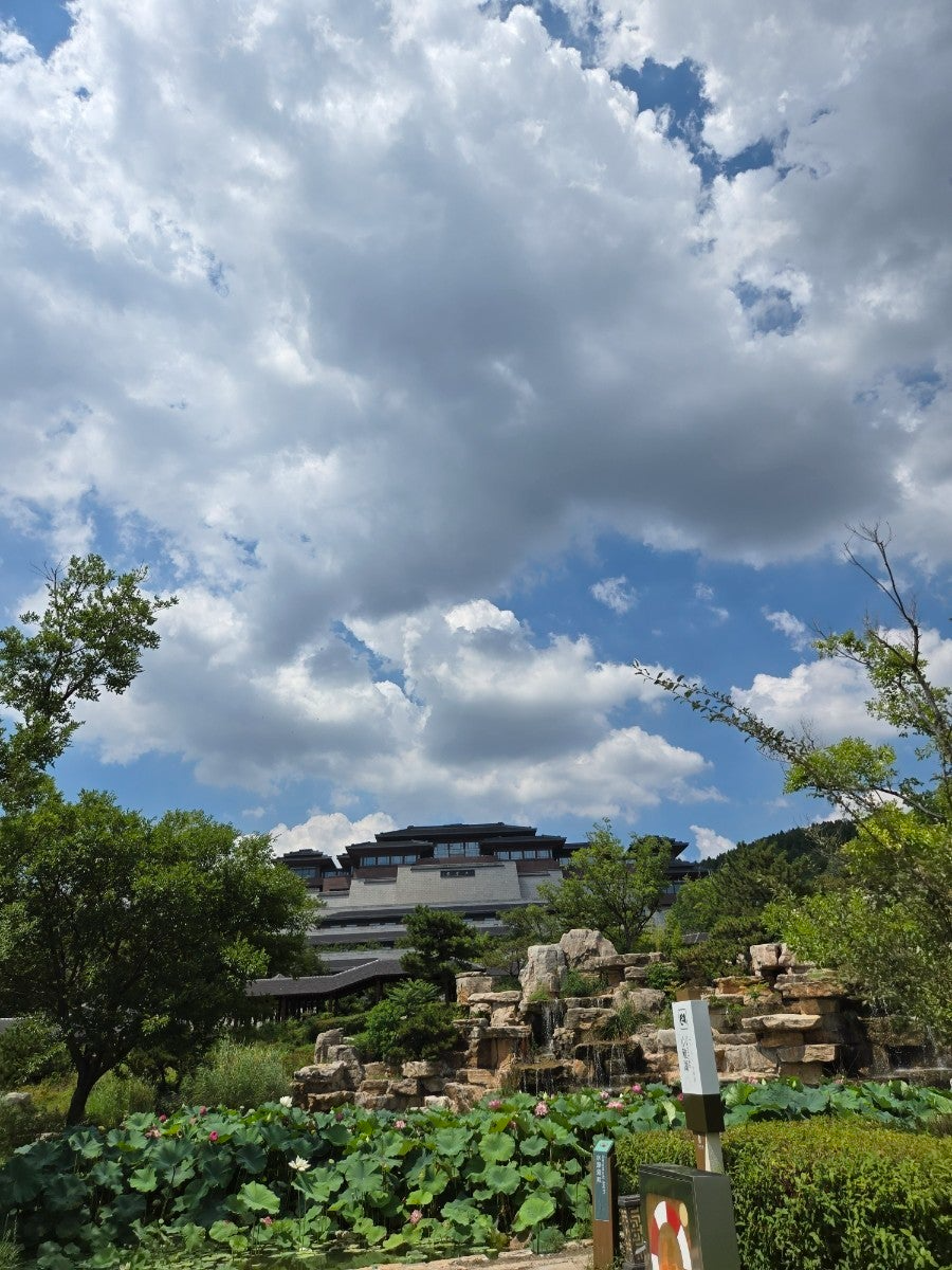 사용자가 올린 이미지