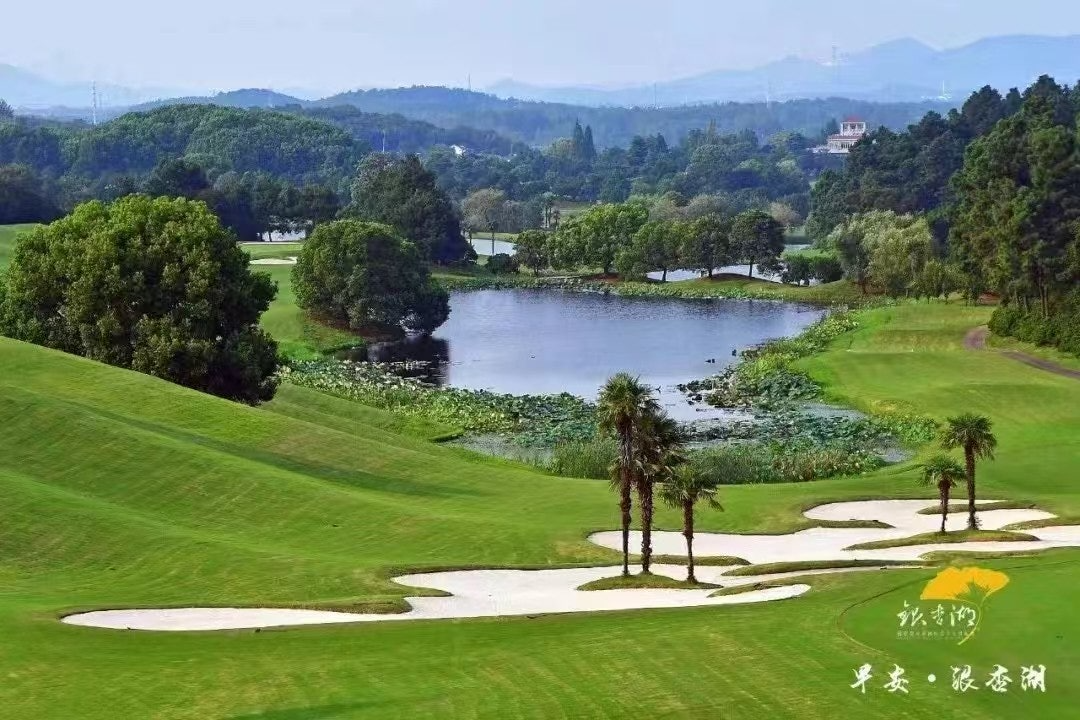 ์ฌ์ฉ์๊ฐ ์ฌ๋ฆฐ ์ด๋ฏธ์ง