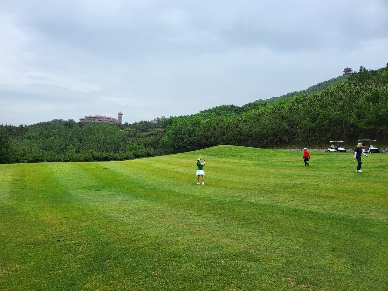 사용자가 올린 이미지