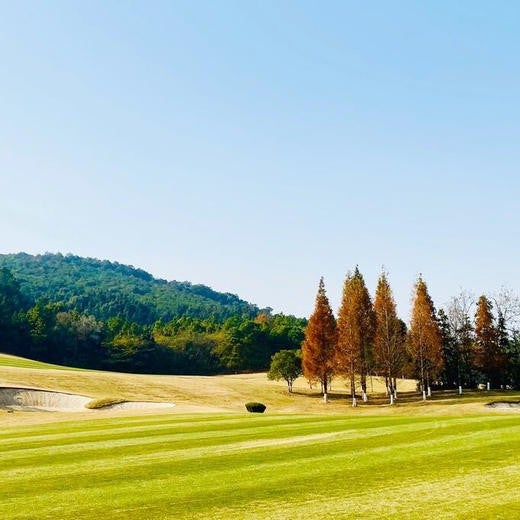 ์ฌ์ฉ์๊ฐ ์ฌ๋ฆฐ ์ด๋ฏธ์ง