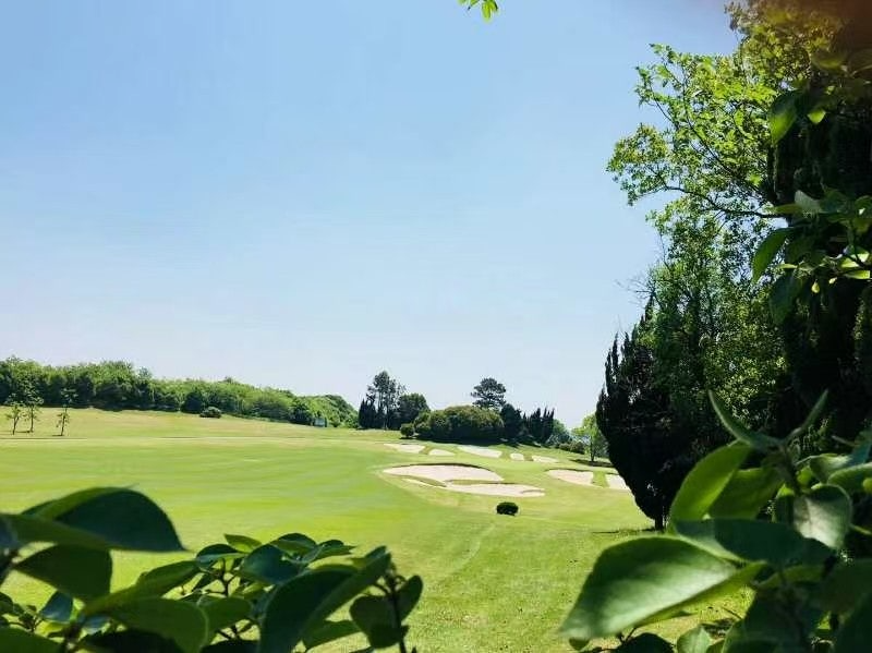 ์ฌ์ฉ์๊ฐ ์ฌ๋ฆฐ ์ด๋ฏธ์ง