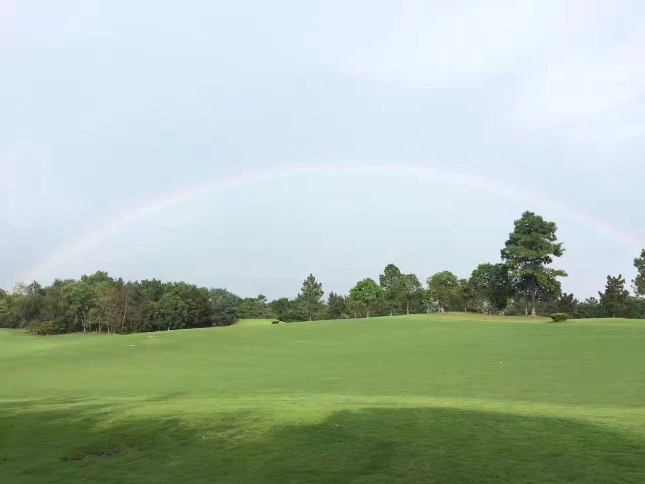 ์ฌ์ฉ์๊ฐ ์ฌ๋ฆฐ ์ด๋ฏธ์ง