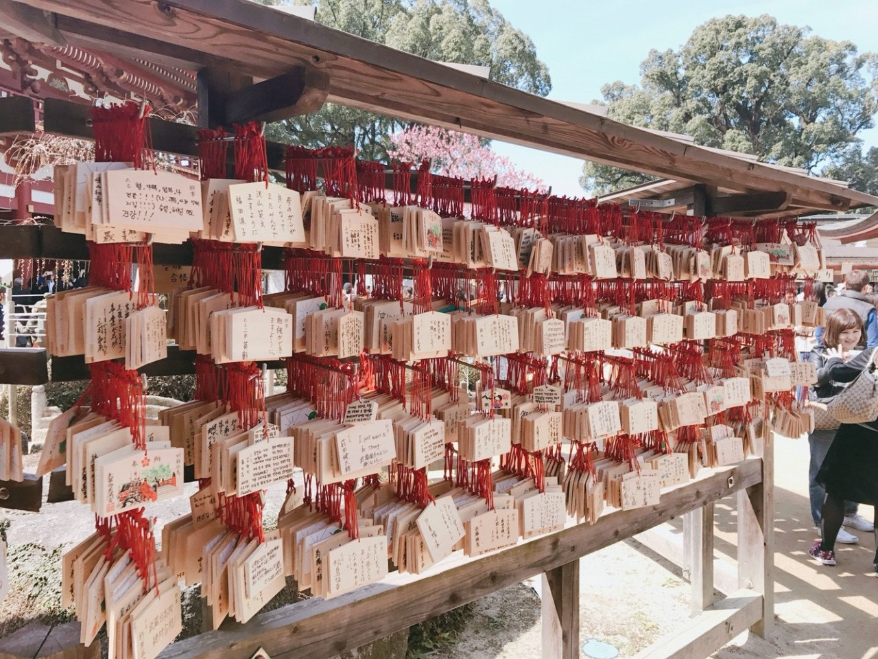 ์ฌ์ฉ์๊ฐ ์ฌ๋ฆฐ ์ด๋ฏธ์ง