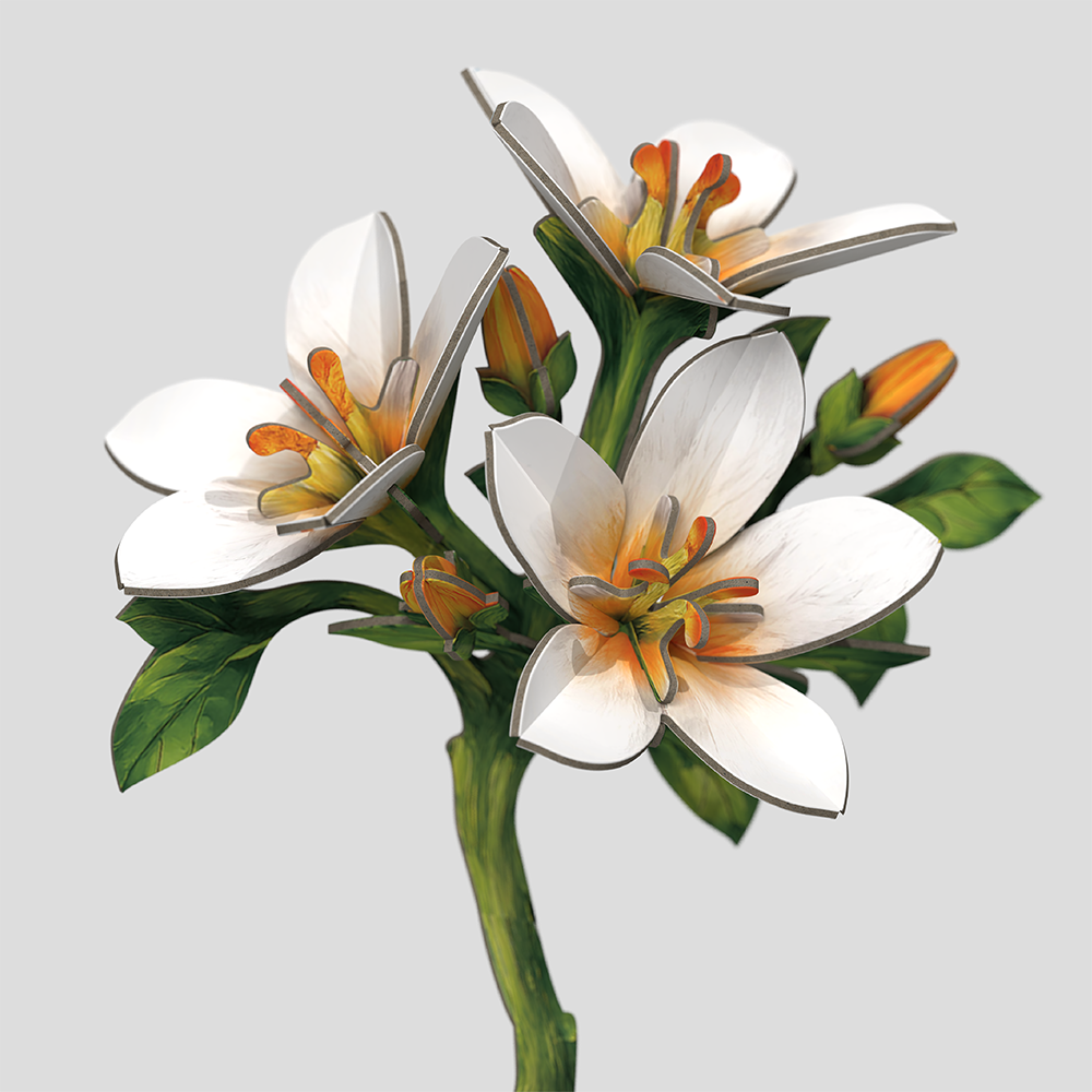 Wildflower