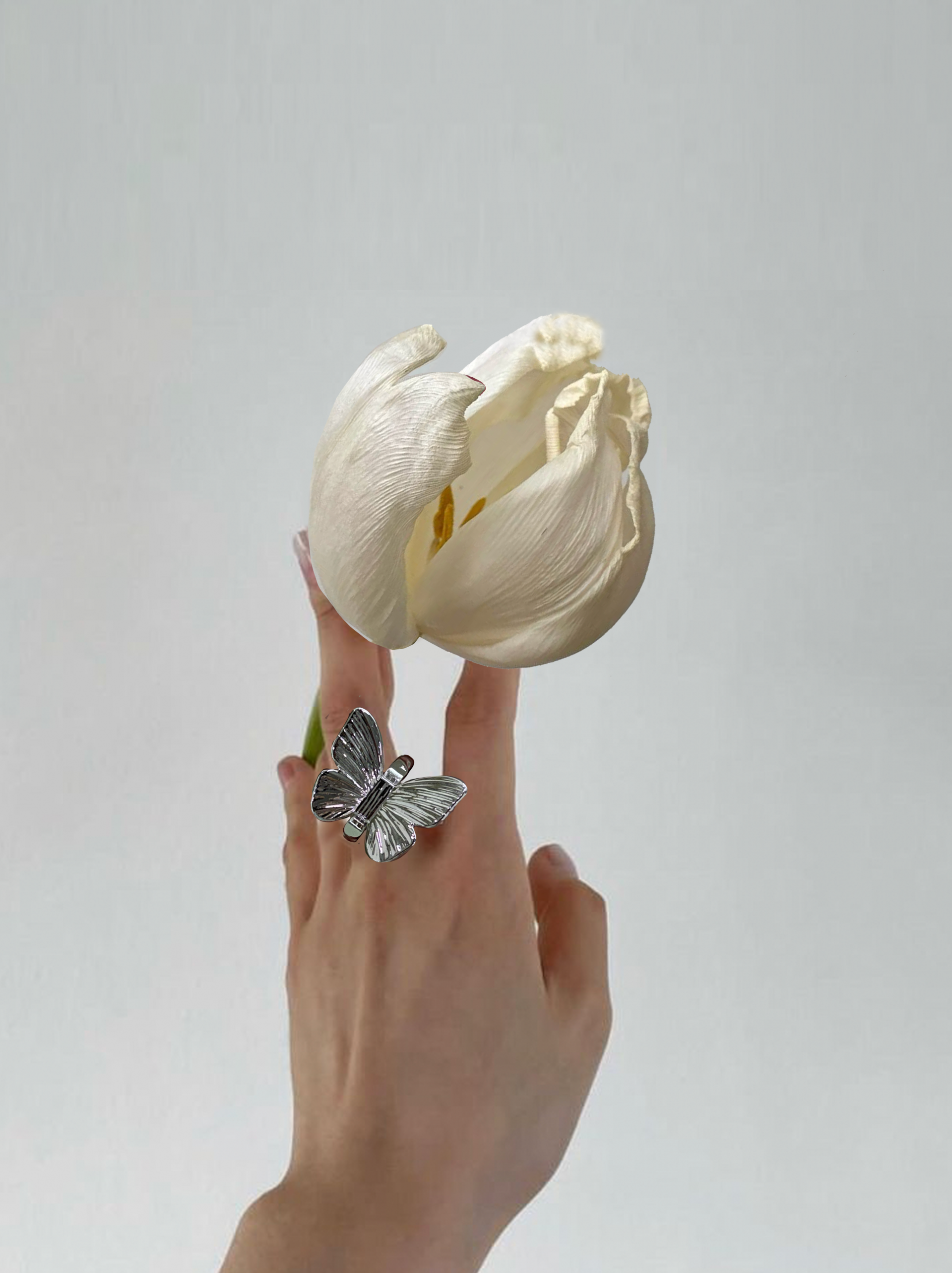 Butterfly Ring Tok