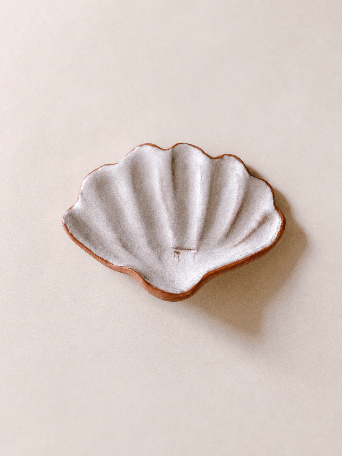 Scallop Holder