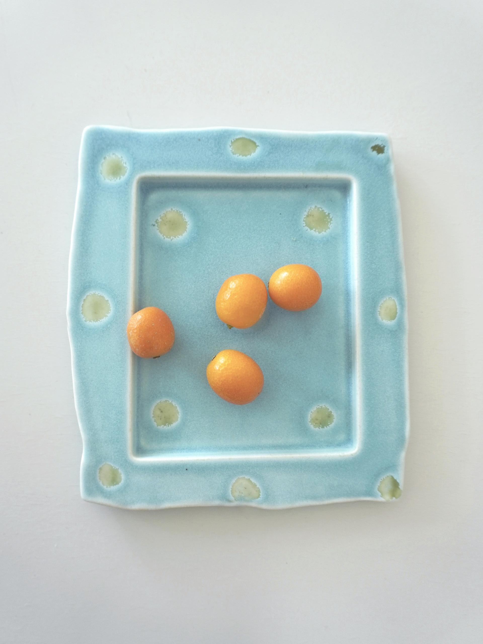 [5월 28일 이내 예약 출고] Plate 02 - Matt Blue