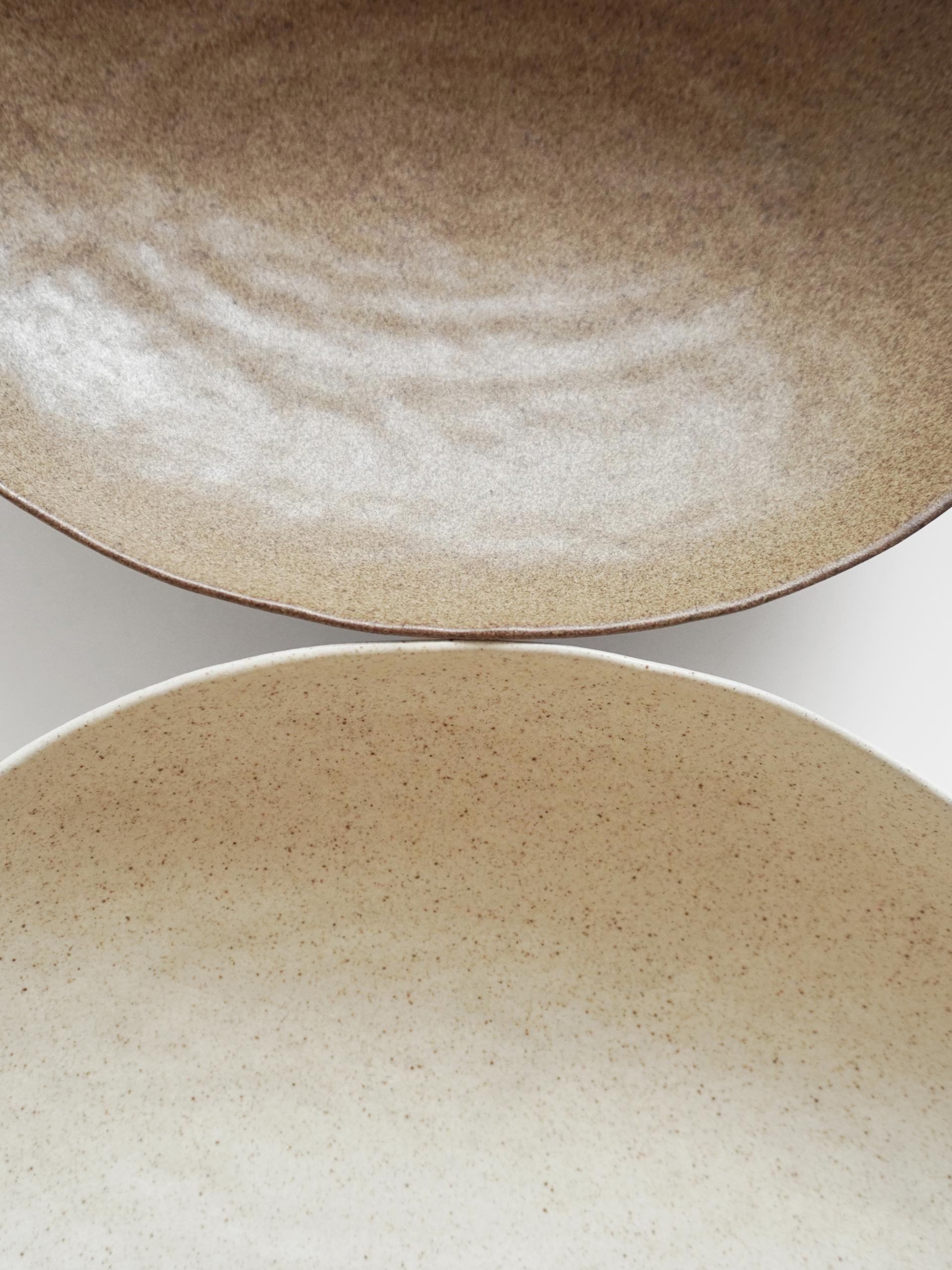 Dinosour Egg Plate L (2 Color)