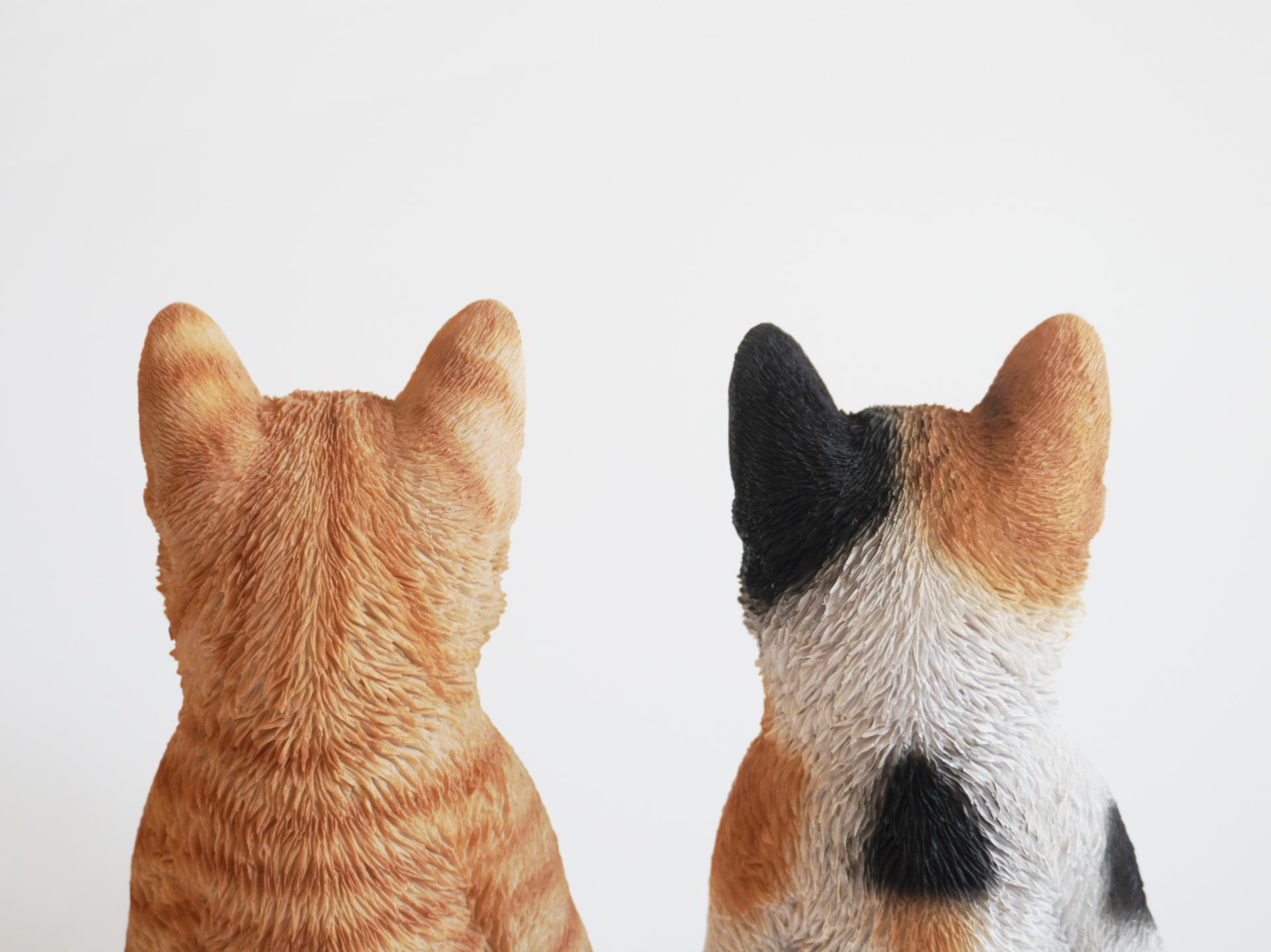 Real Cat Object (2 Type)