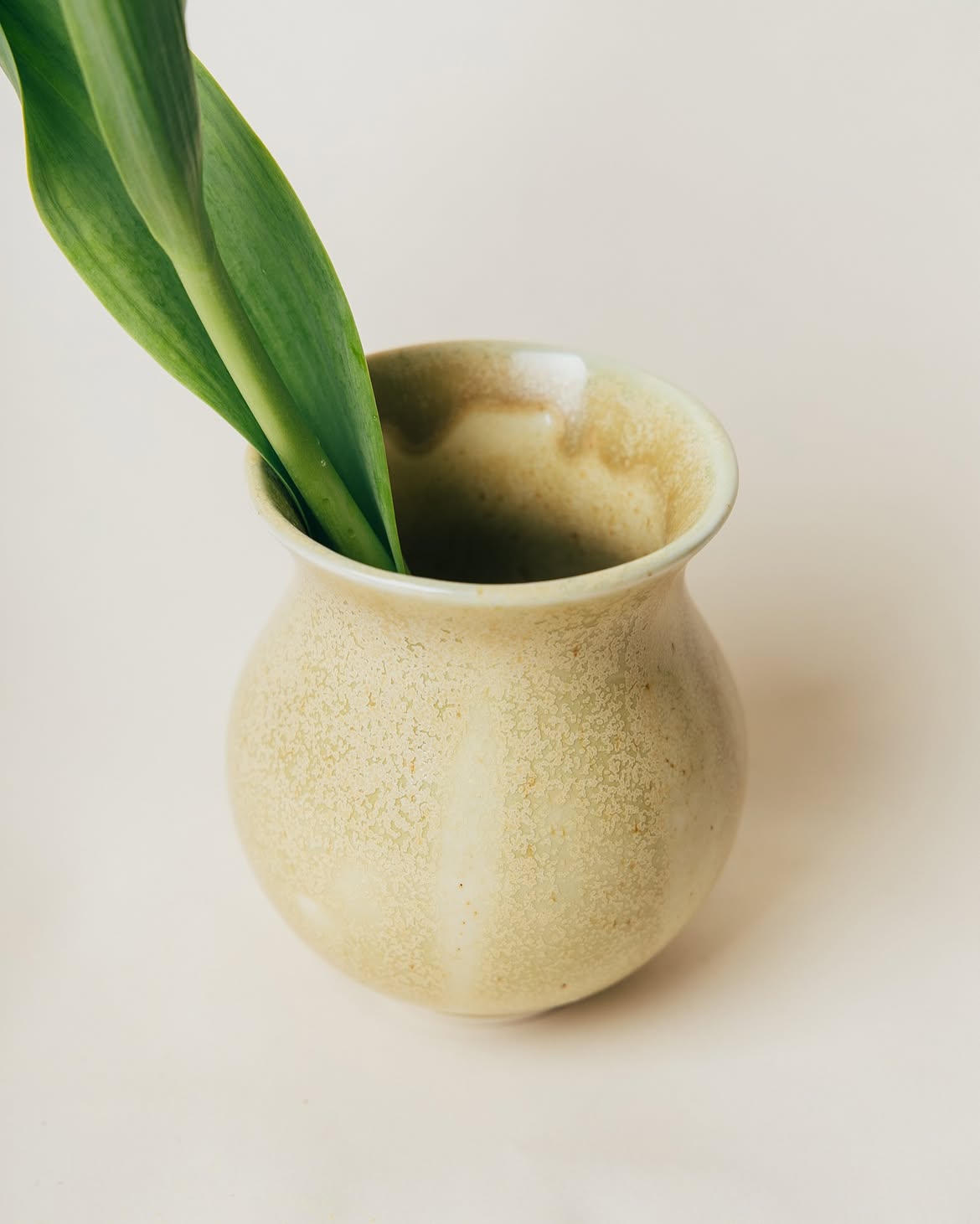 Bud Cup - Special 01
