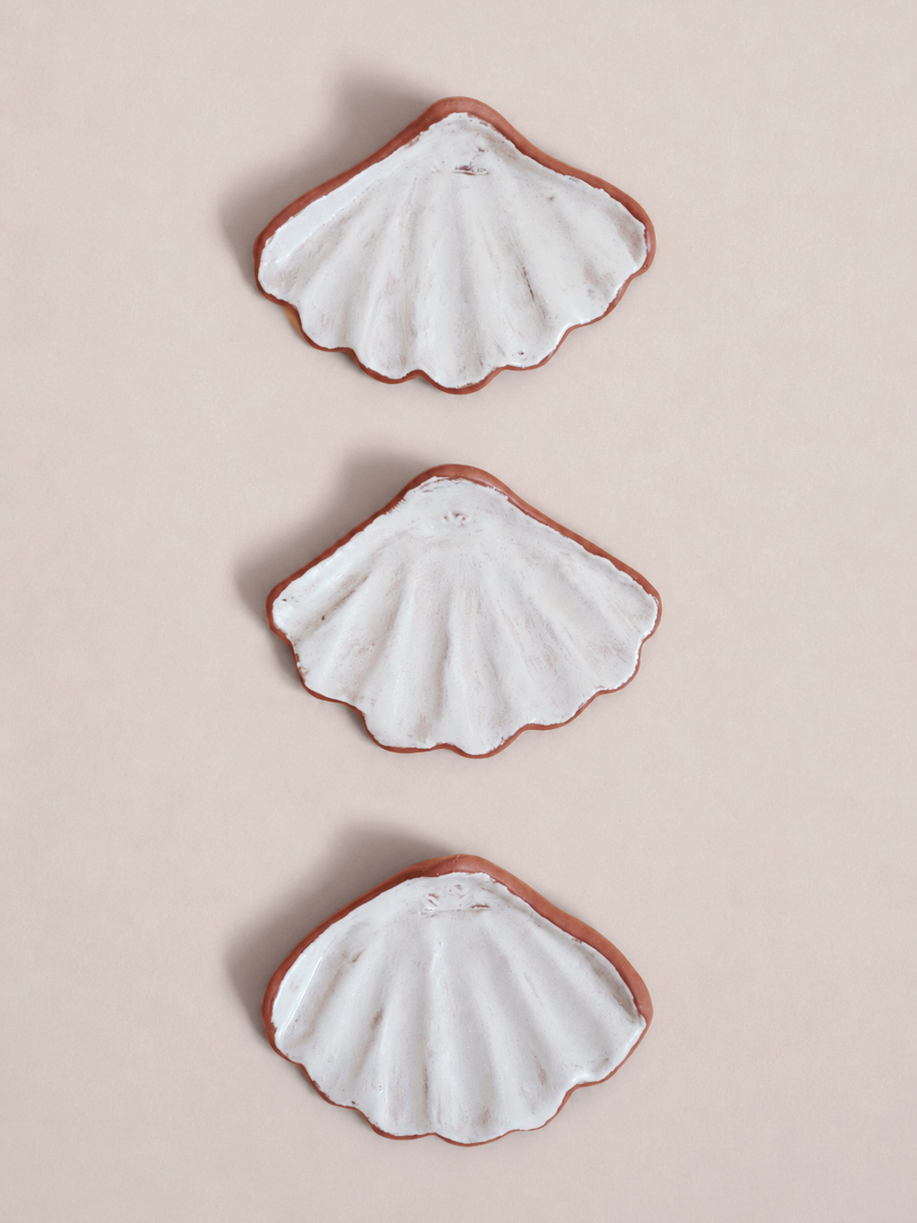 Scallop Holder