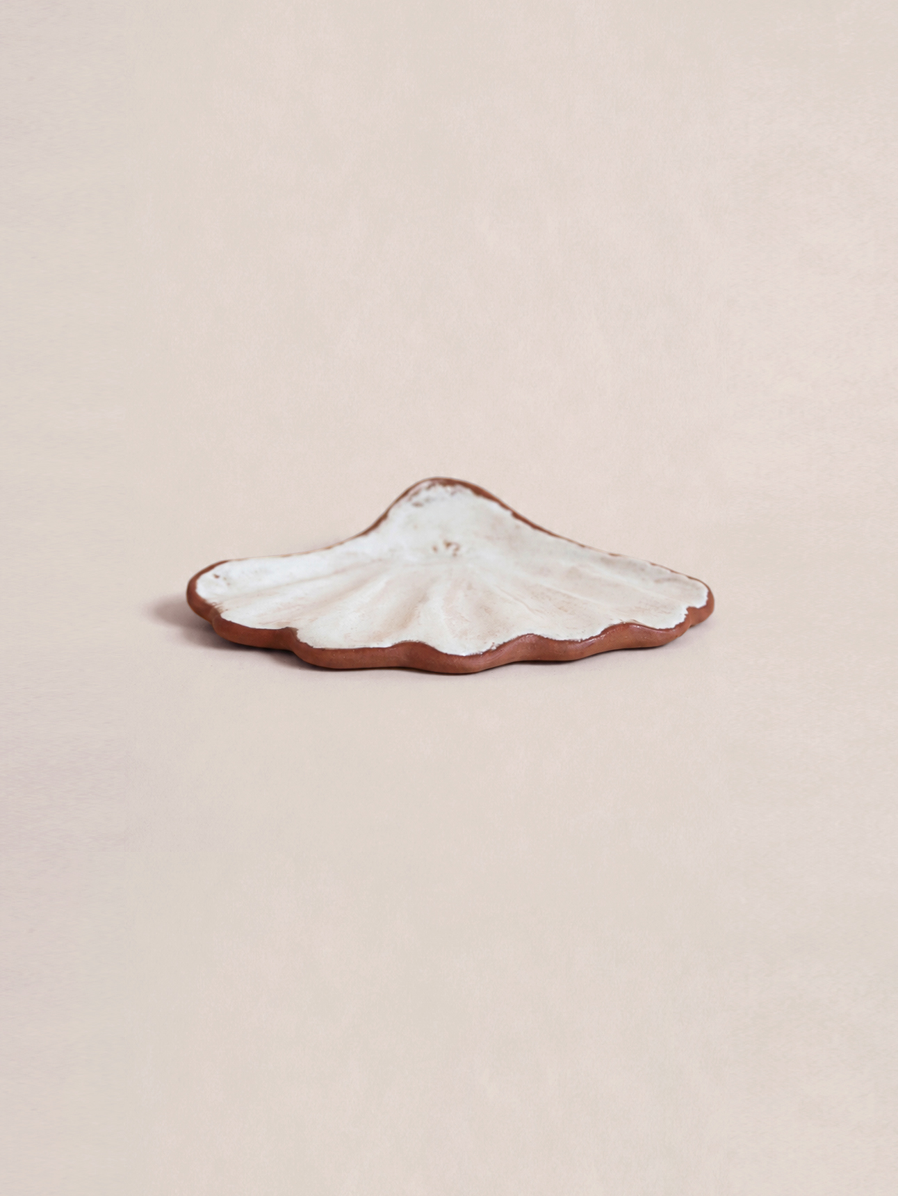 Scallop Holder