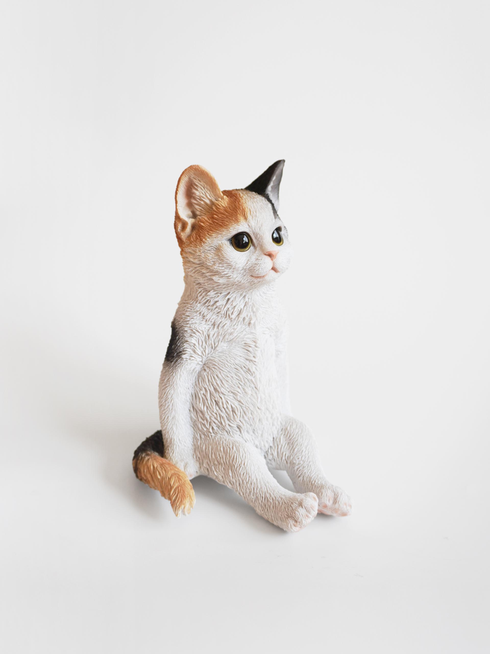 Real Cat Object (2 Type)