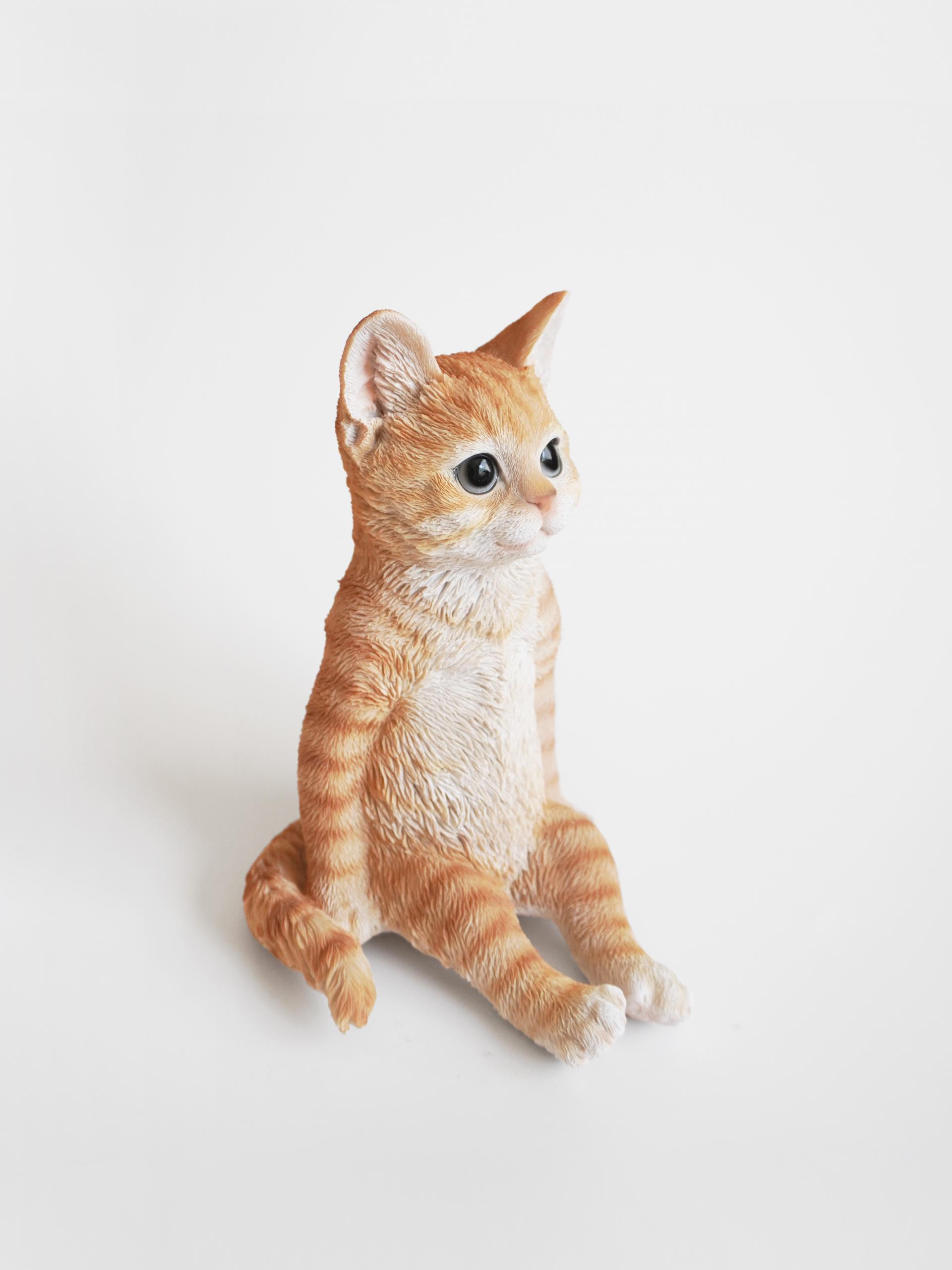 Real Cat Object (2 Type)