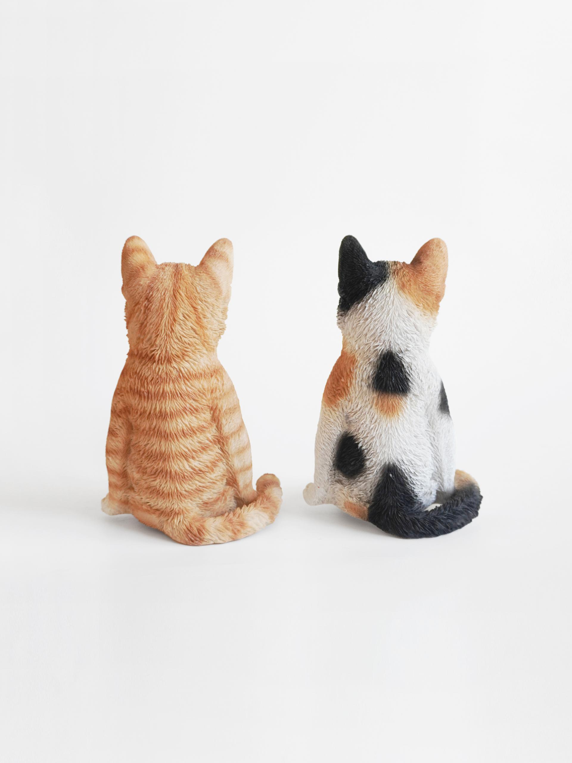 Real Cat Object (2 Type)