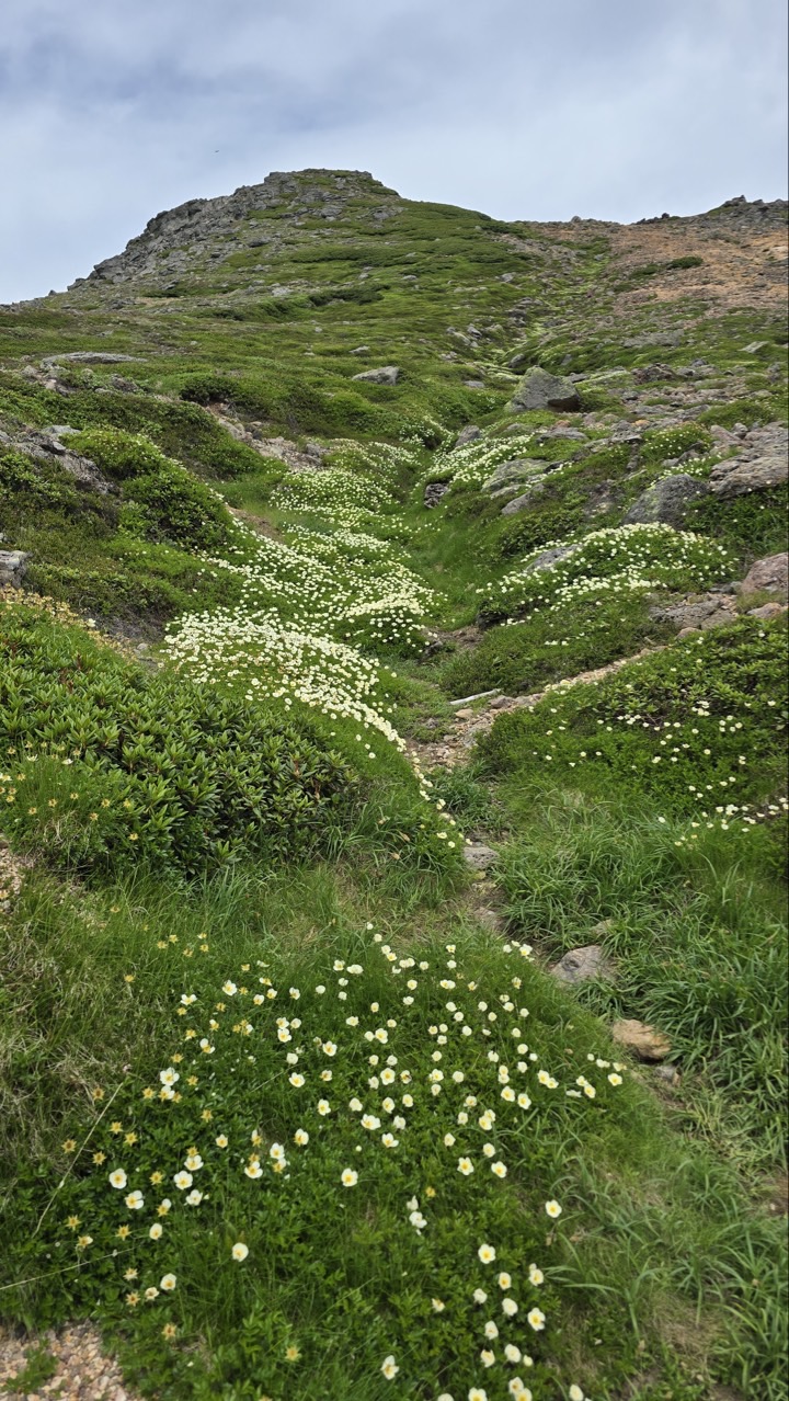 61d400e0f21e6.jpg