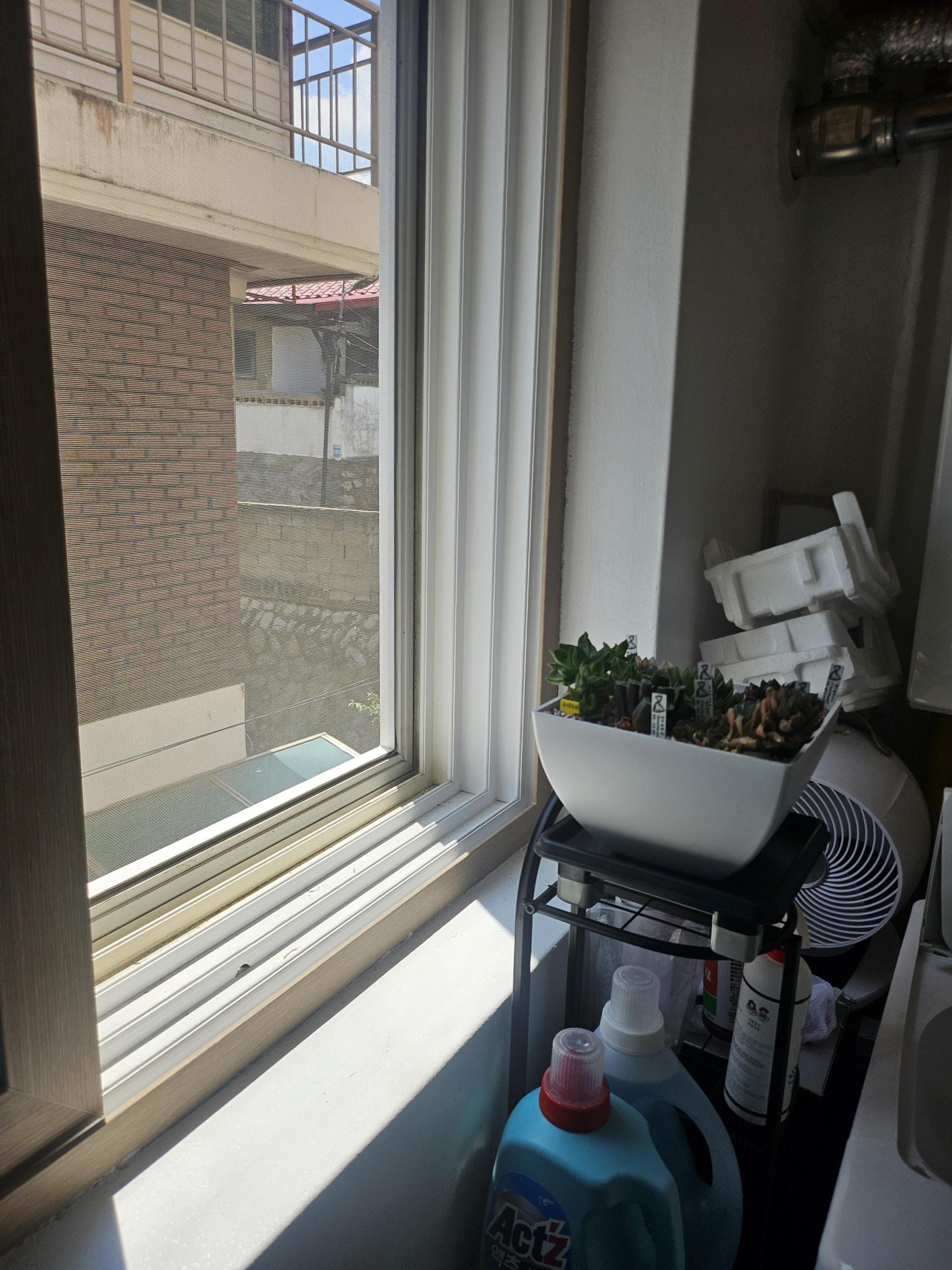 0a105713302af.jpg