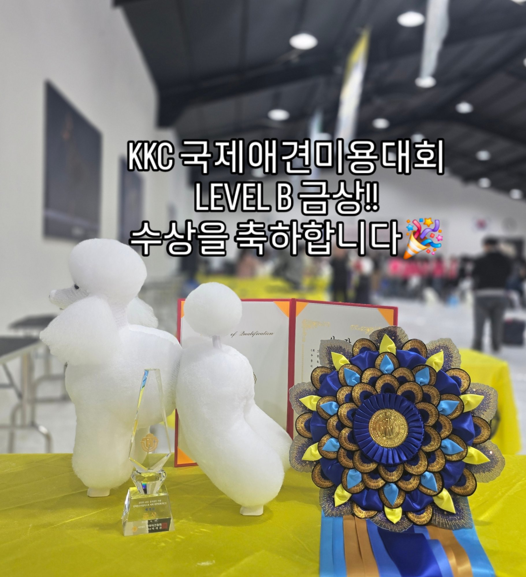 856408a1f2ad4.jpg