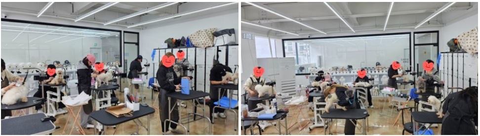 d8632bb4bc5ef.png
