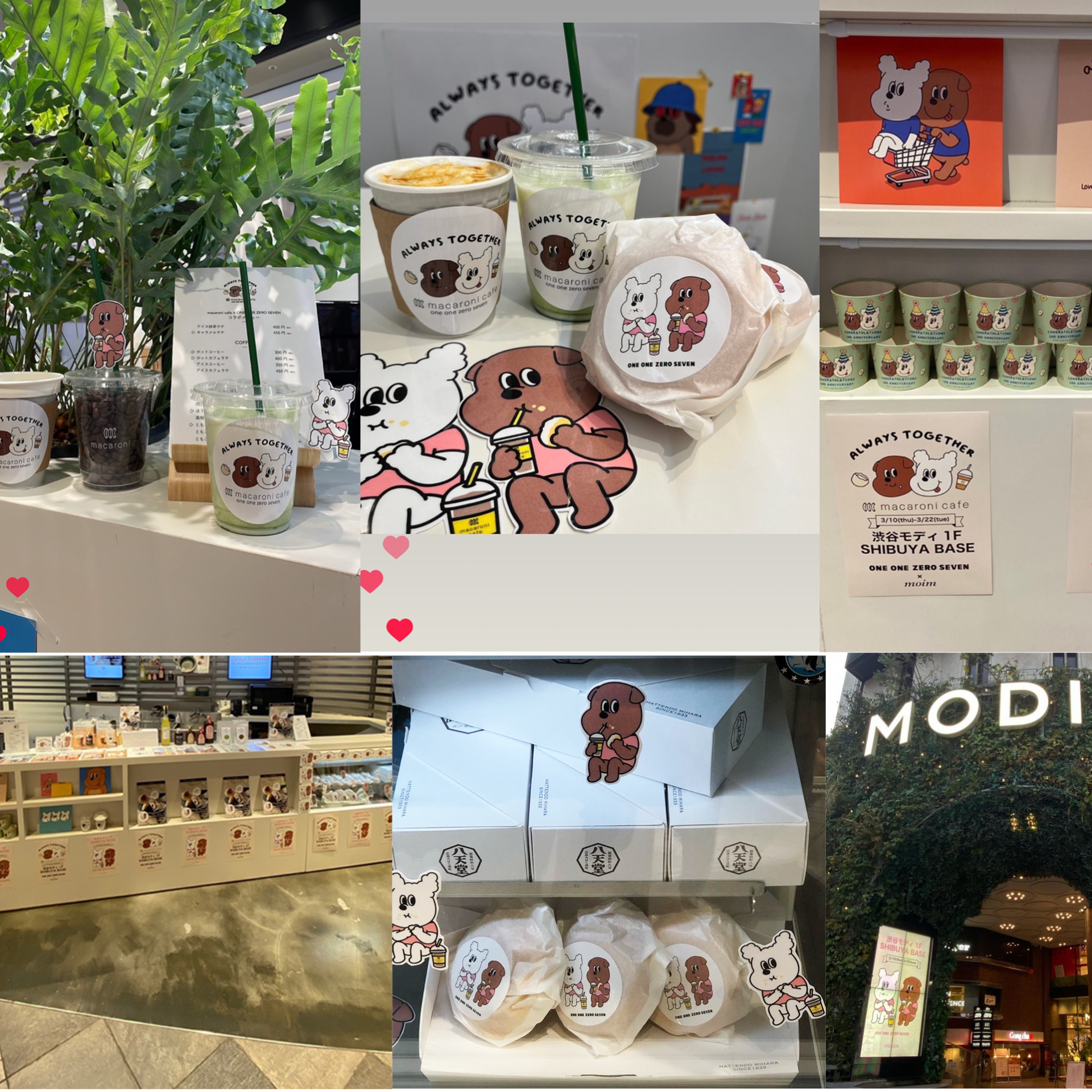 d961584170f7f.png