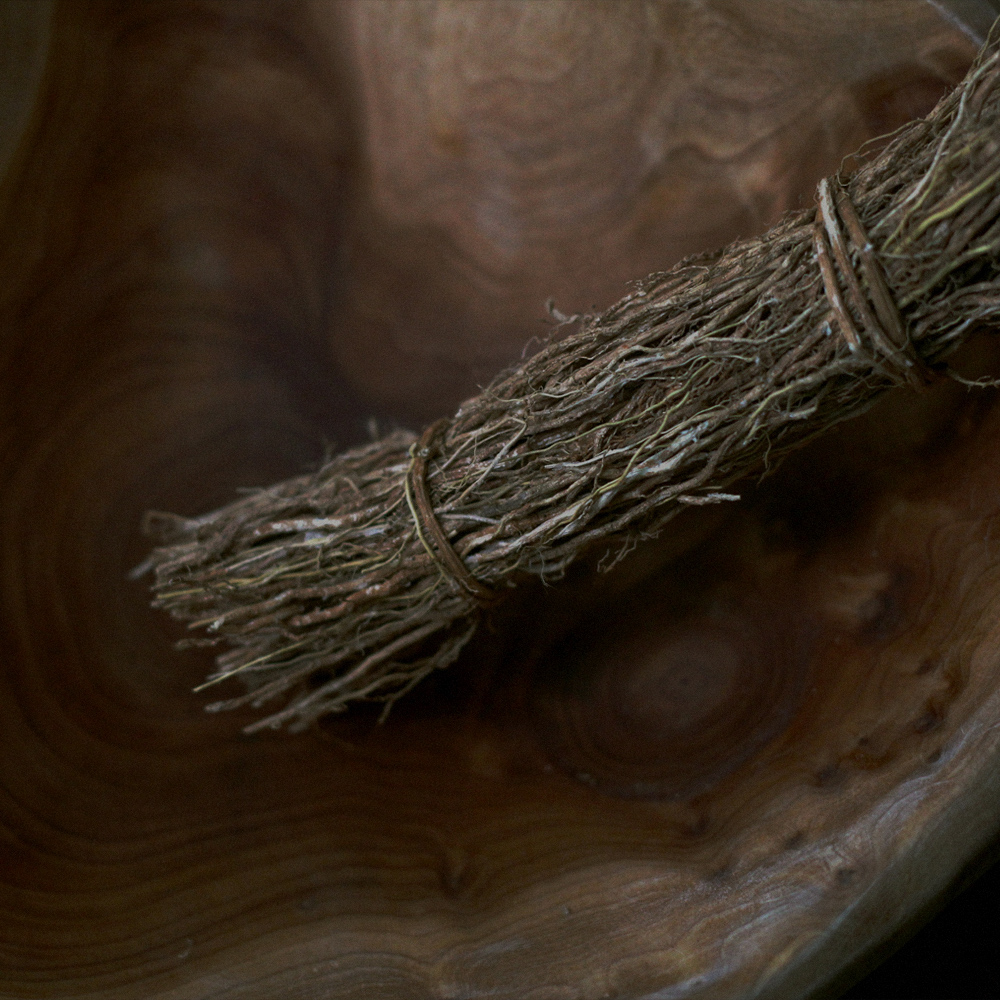 베티버 뿌리 (Dried Vetiver Root)