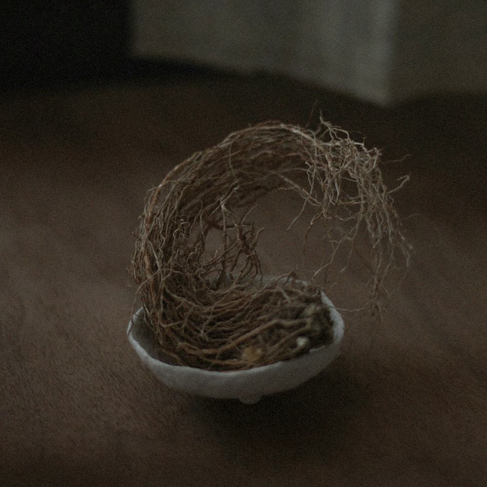 베티버 뿌리 (Dried Vetiver Root)