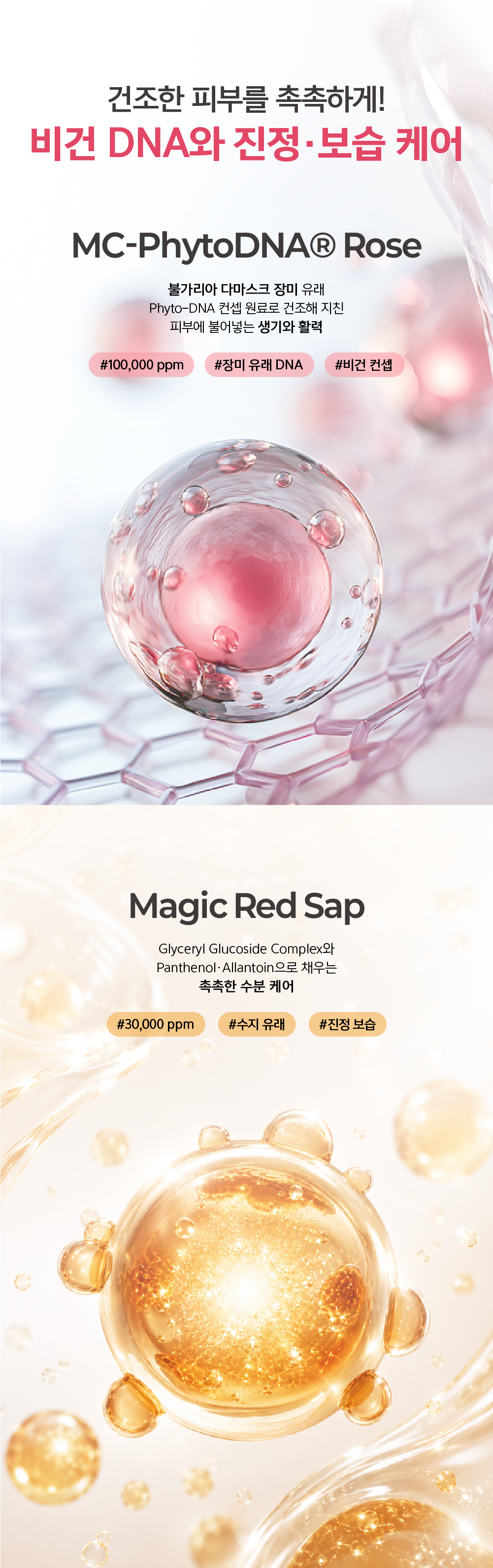 더마벨 하이-에센셜 리쥬 컨트롤 코어 솔루션 스페셜 키트