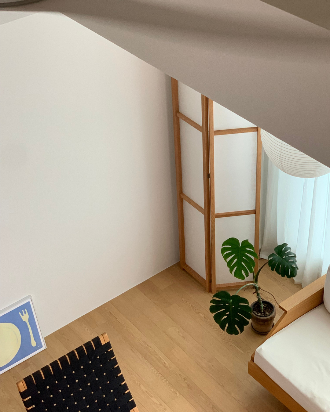 호하 포그 룸디바이더 (9월 7일 오전 11시 첫오픈)