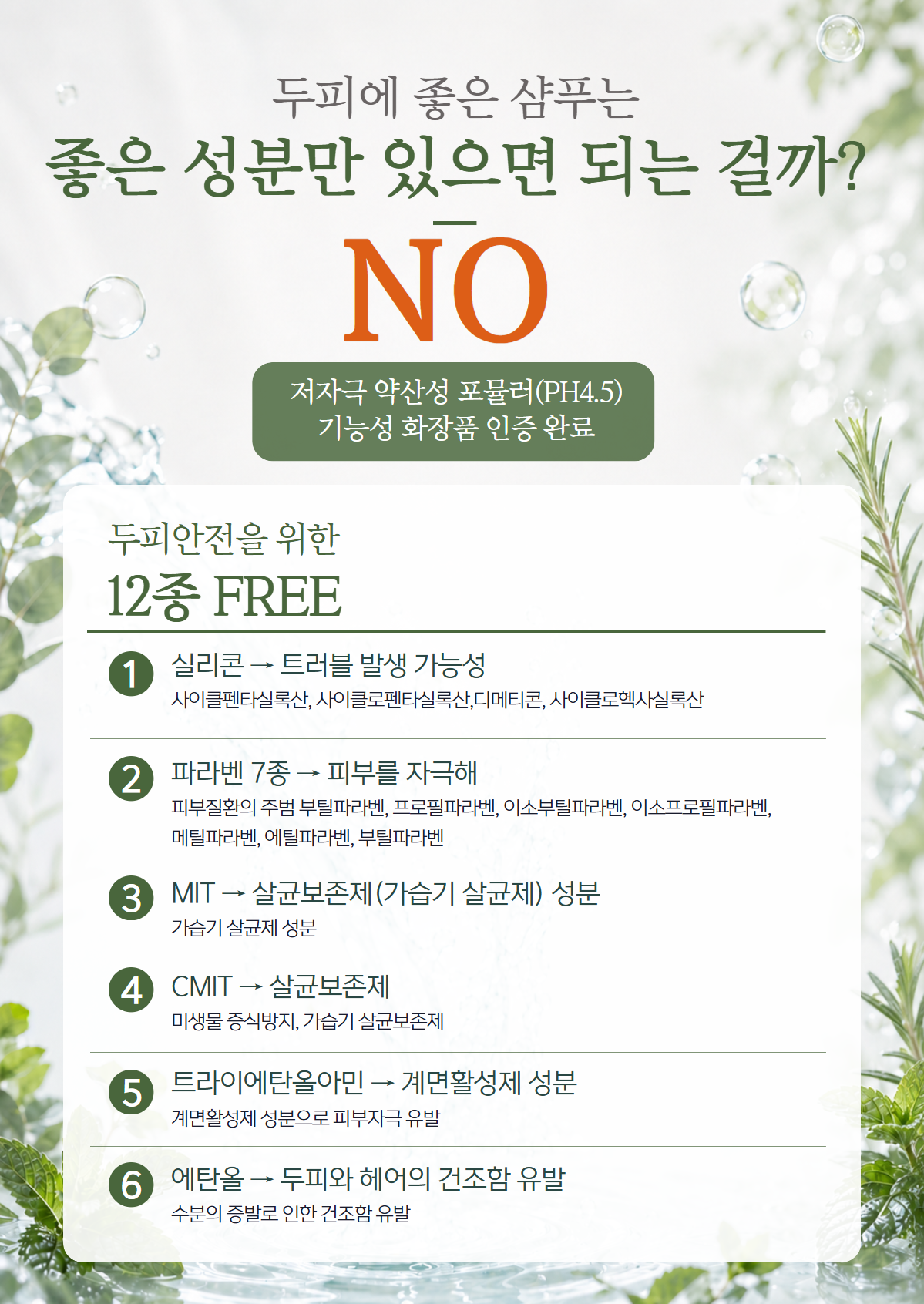 벨모어 포유 단백질 샴푸 300ml