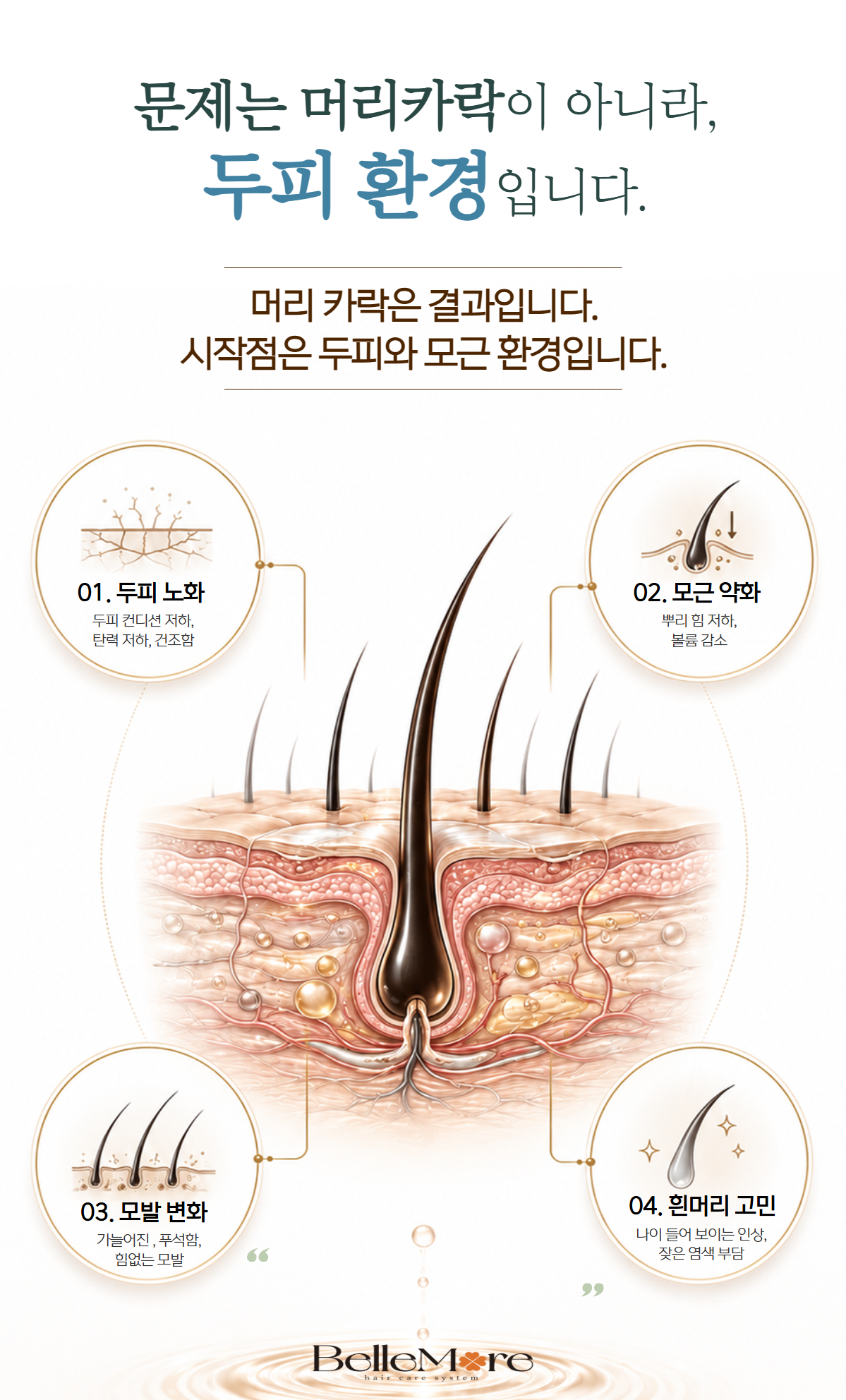 벨모어 리셋 탈모 샴푸 흰머리개선 여성형탈모 노화 남성형탈모