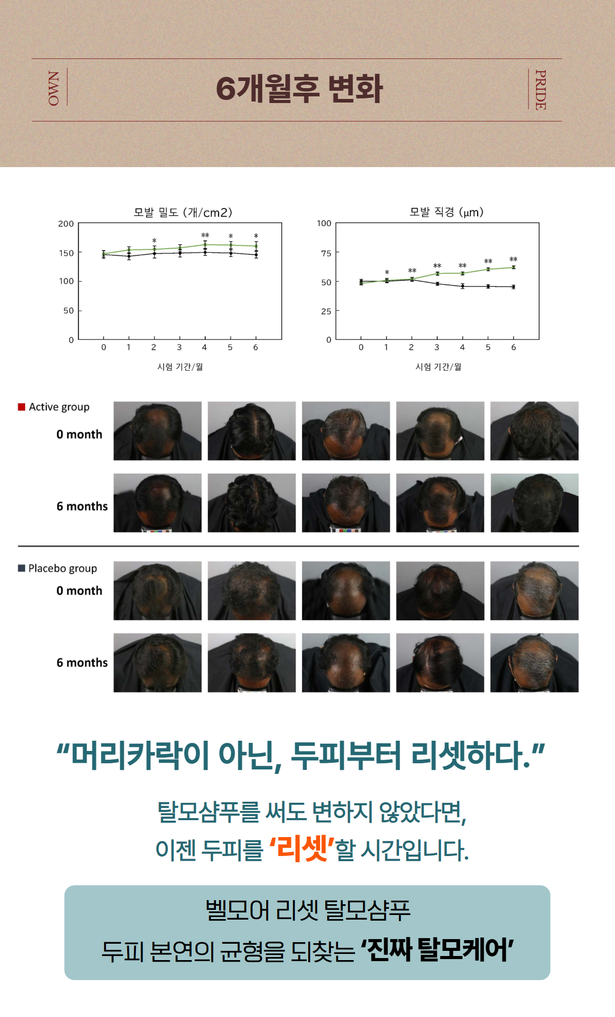 벨모어 리셋 탈모 샴푸 흰머리개선 여성형탈모 노화 남성형탈모