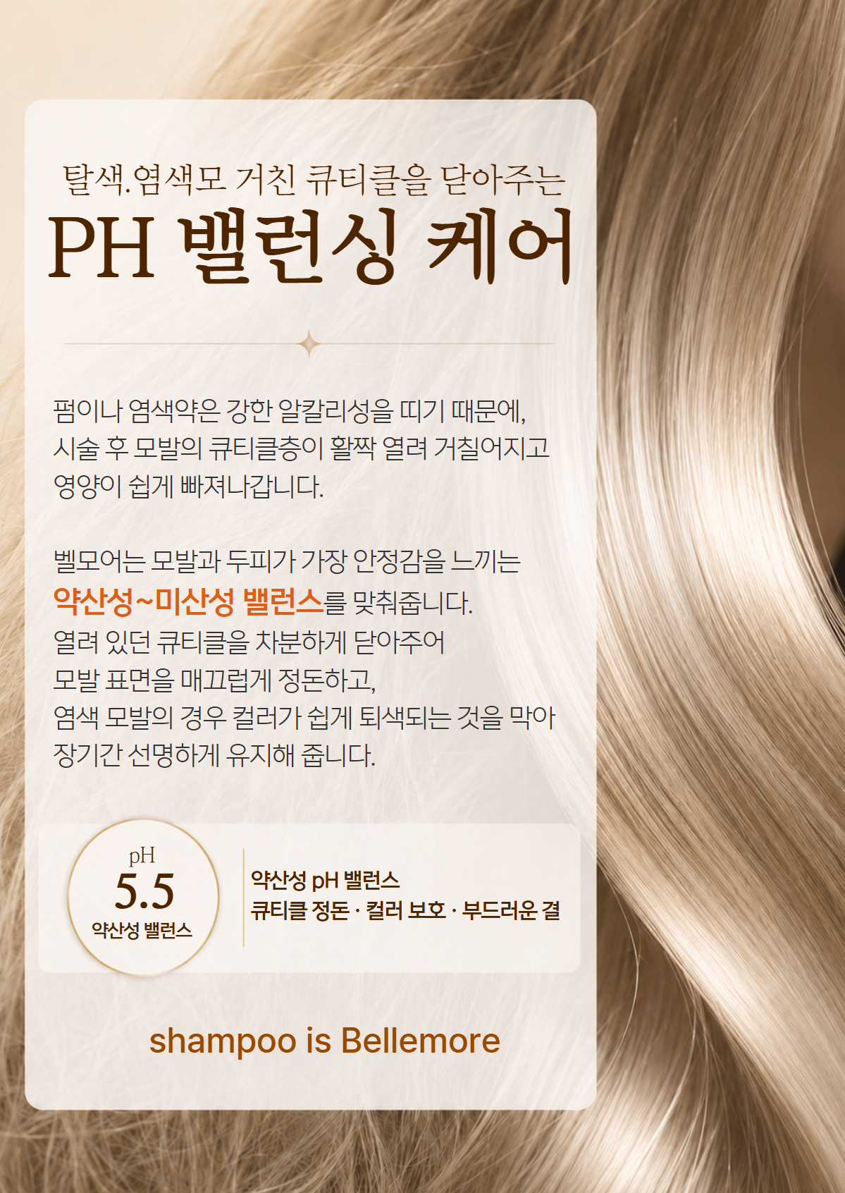 벨모어 포유 단백질 샴푸 300ml