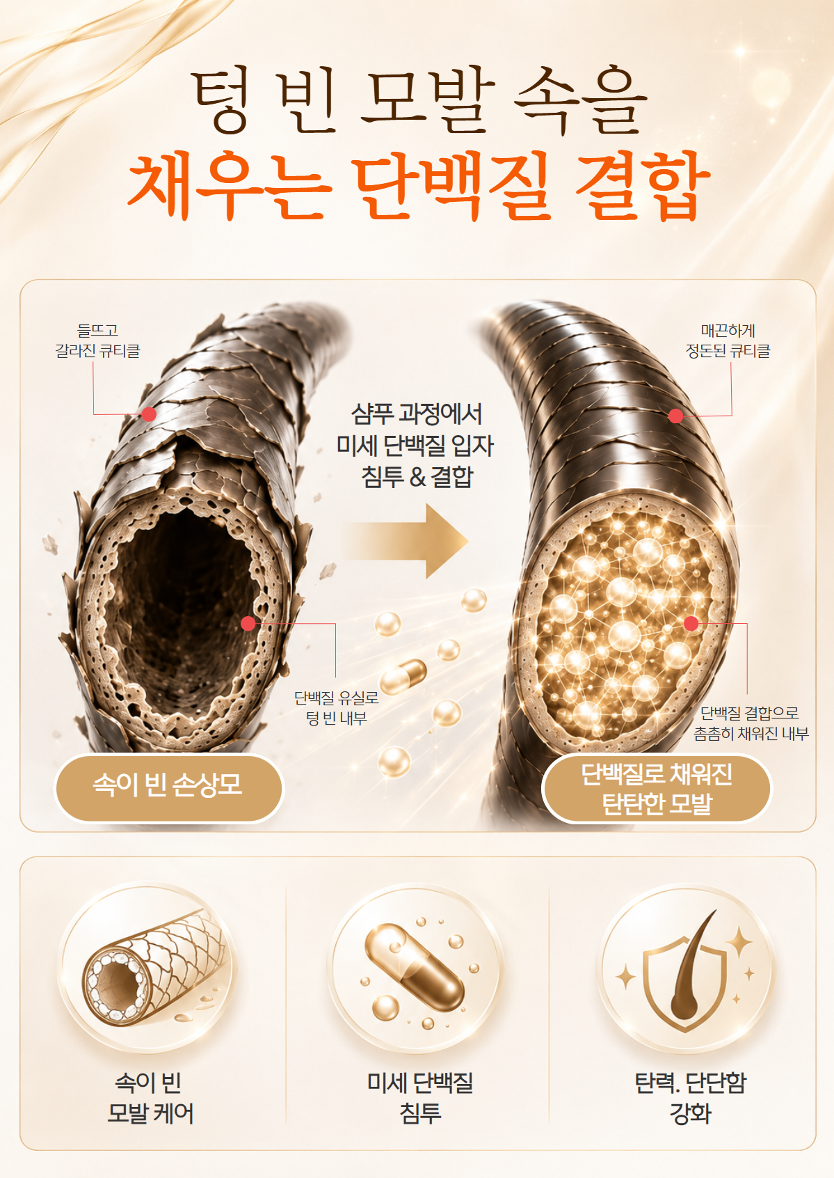 벨모어 포유 단백질 샴푸 300ml