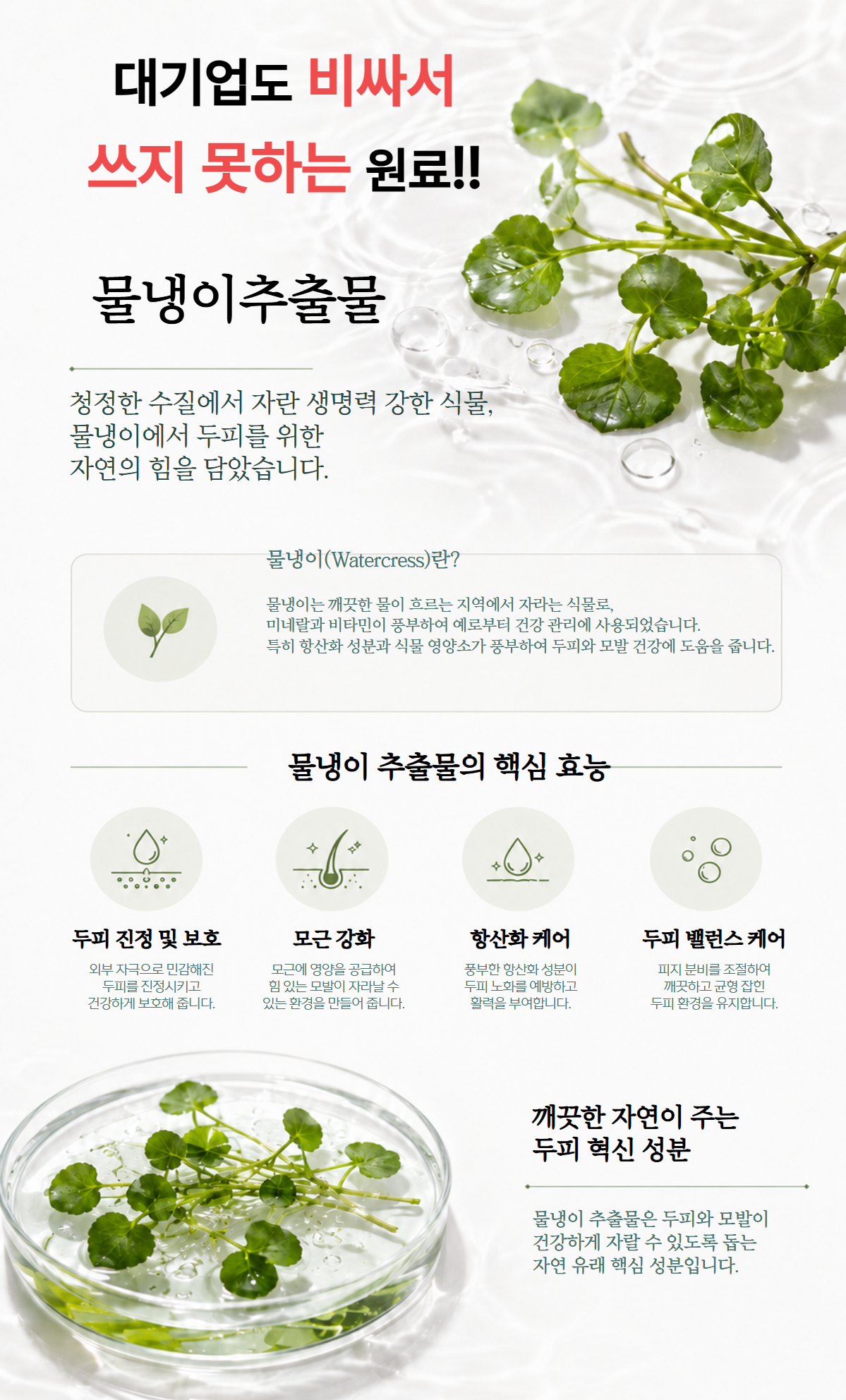 벨모어 리셋 탈모 샴푸 흰머리개선 여성형탈모 노화 남성형탈모