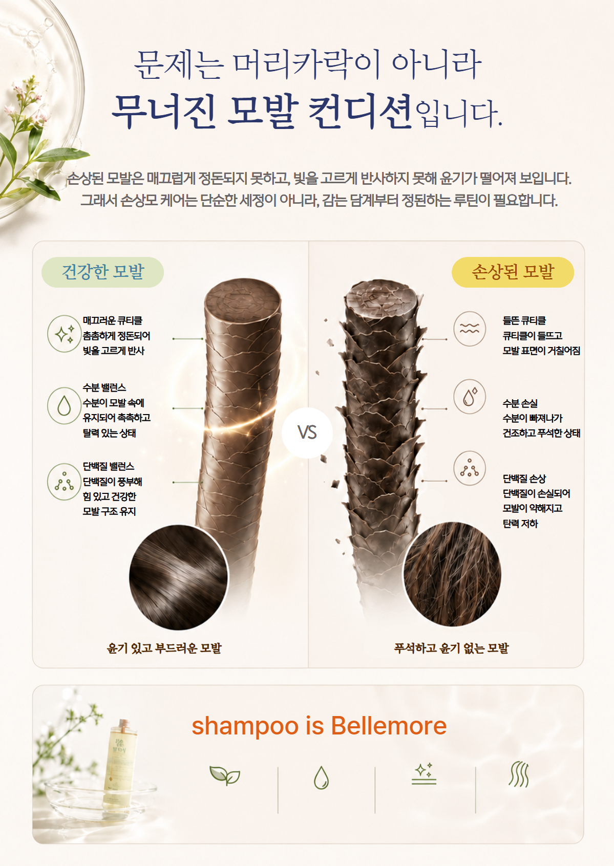 벨모어 포유 단백질 샴푸 300ml